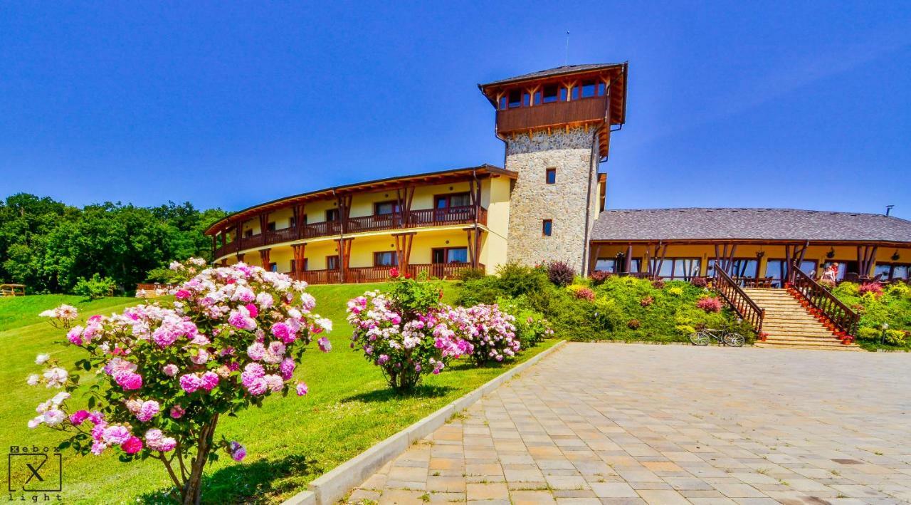 Pensiunea Casa Buna Gîrbova Exteriör bild